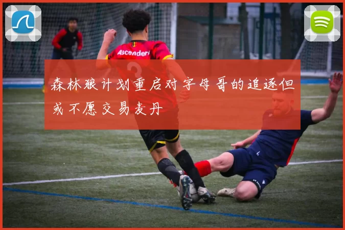 森林狼计划重启对字母哥的追逐但或不愿交易麦丹